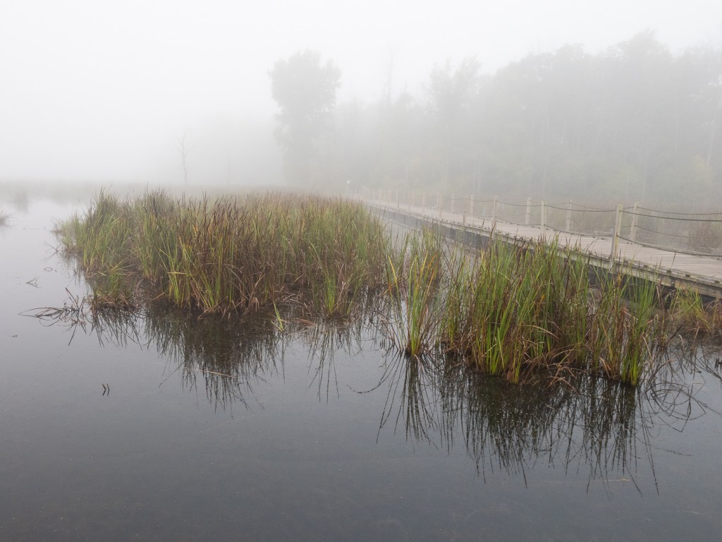 Horicon Marsh Fall&nbsp;2025